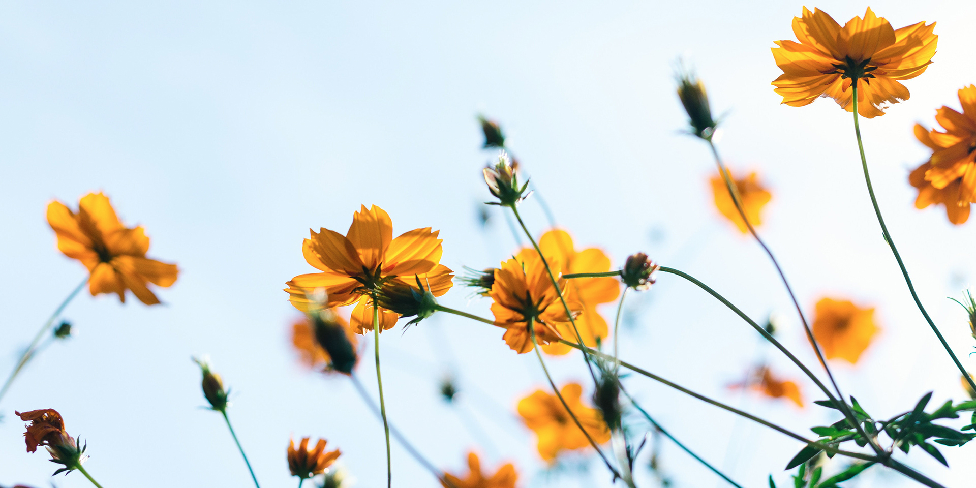 Navigating UK Spring Weather: American's Essential Dressing Guide